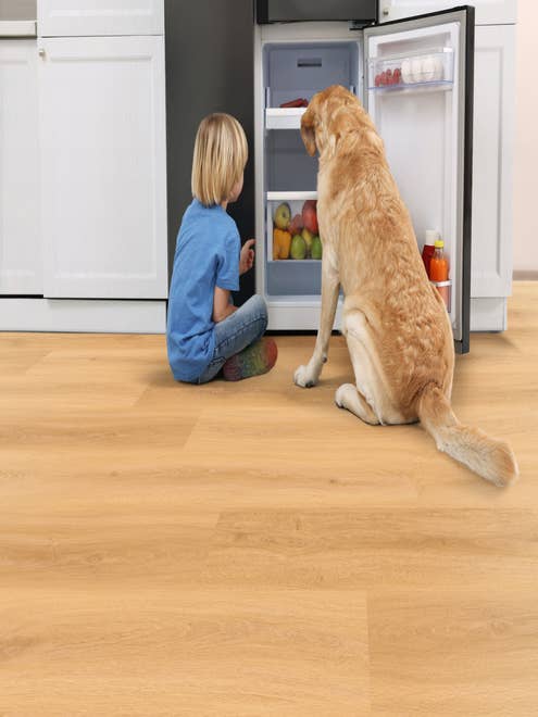 Young boy and dog sitting in front of opened mini refrigerator