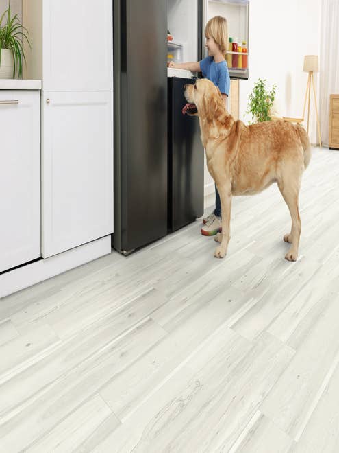 Boy and dog stand in front of refrigerator in coastal-inspired white kitchen