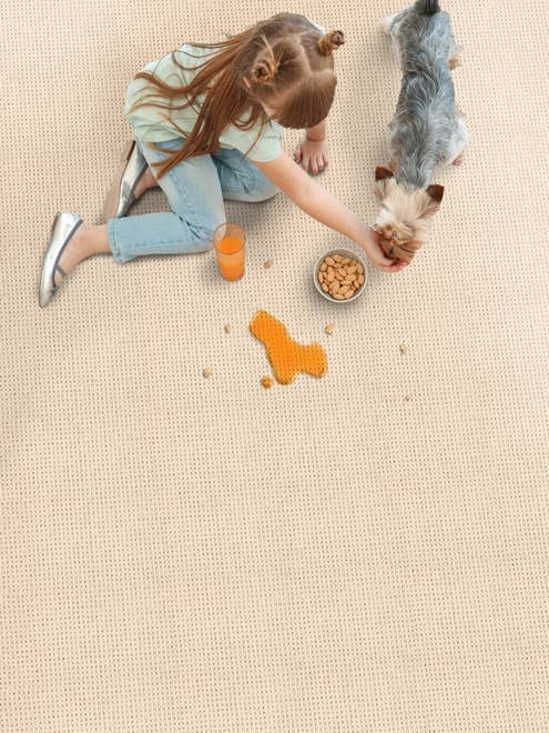 Young girl handfeeds dog from bowl next to spilled drink on a linear textured cream carpet