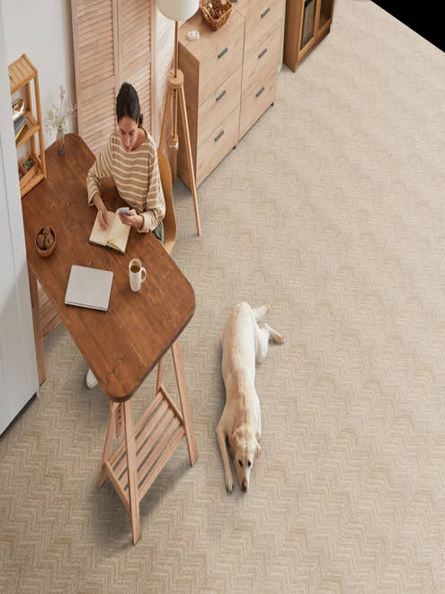 Dog laying on tan geometric carpet while woman writes in notebook on modern wooden desk