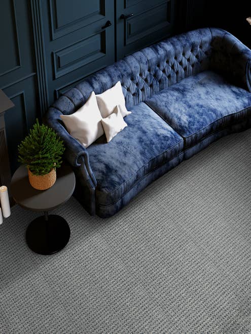 Blue velvet couch and black side table with potted plant in a moody room with wainscoting and blue berber carpet