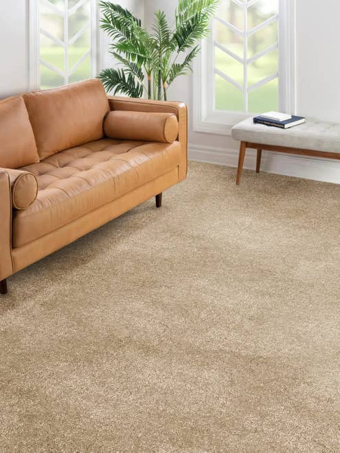 Modern tan leather sofa, white bench, and houseplant in room with a big window and a beige plush carpet