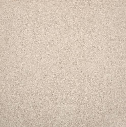 Cream solid textured plush carpet