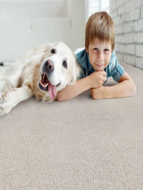 Young boy and dog lay side-by-side on solid gray plush carpet