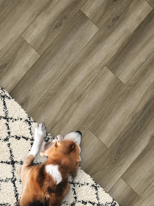 Dog lays on patterned area rug on top of variated tonal brown plank floor, with subtle wire brushed texture