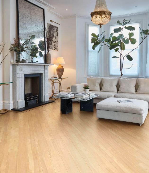 Living space with antique chandelier, off-white walls, pale golden woodgrain floor, white sofa, large houseplant, and fireplace topped with mirror